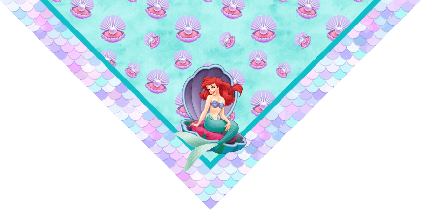 BANDANA INFANTIL PRINCESAS 12
