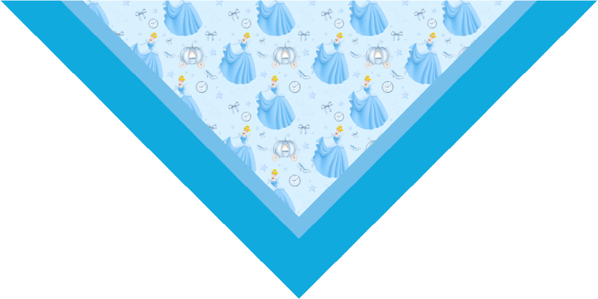 BANDANA INFANTIL PRINCESAS 4