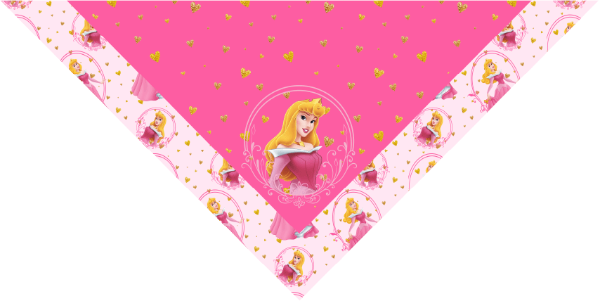 BANDANA INFANTIL PRINCESAS 6