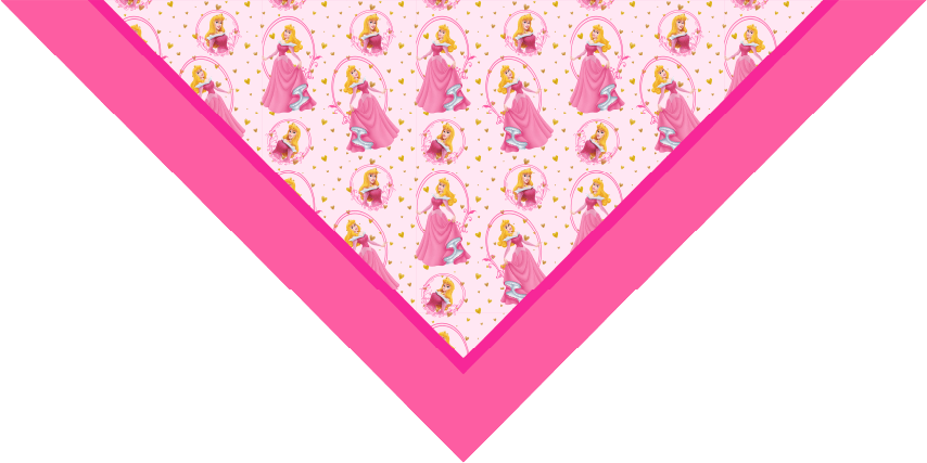 BANDANA INFANTIL PRINCESAS 7