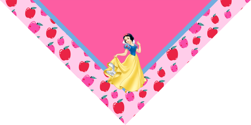 BANDANA INFANTIL PRINCESAS 8