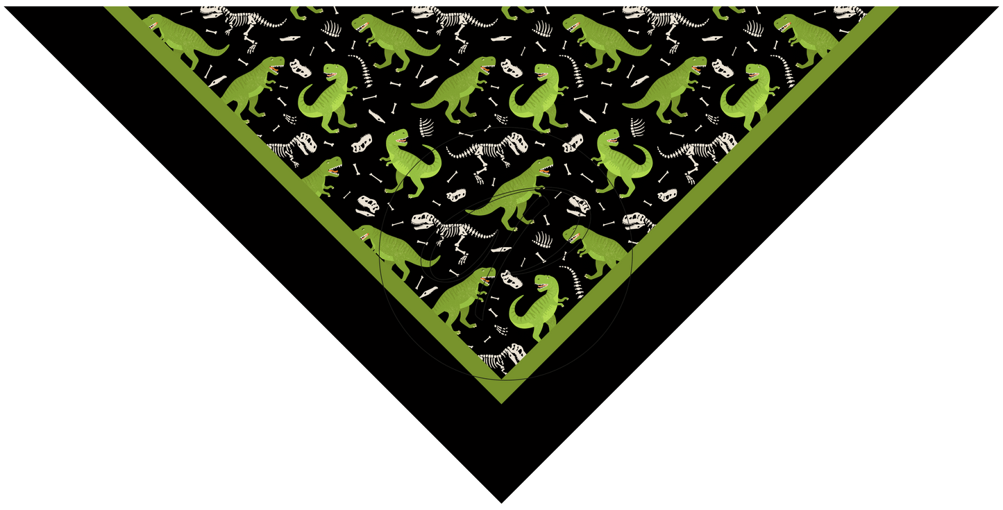 PAÑUELO INFANTIL DINO 3