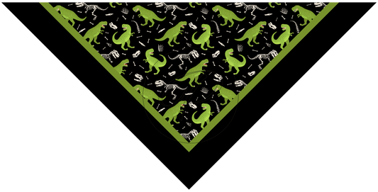 PAÑUELO INFANTIL DINO 3