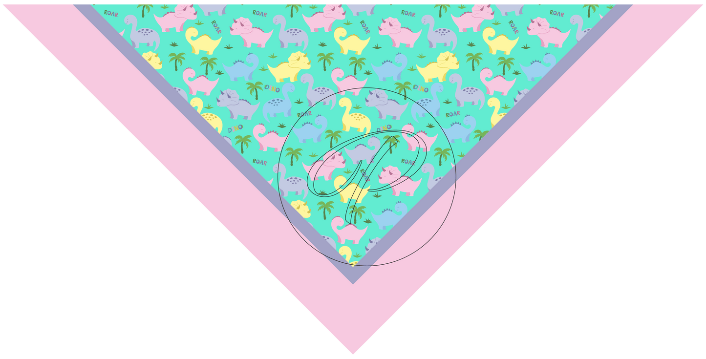 PAÑUELO INFANTIL DINO 4