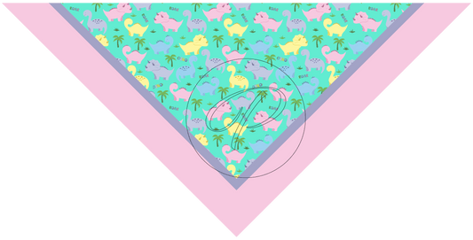 PAÑUELO INFANTIL DINO 4