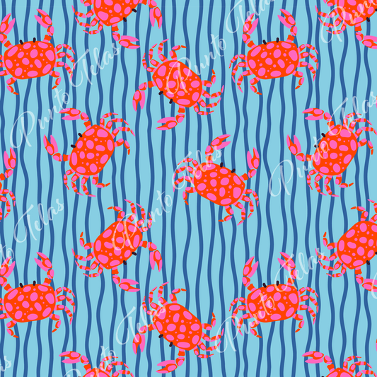 12x58 cms E16 Lycra dupont