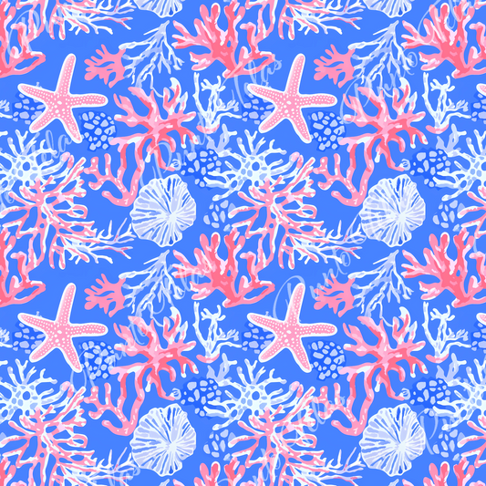 57x70 CMS DISEÑO E419