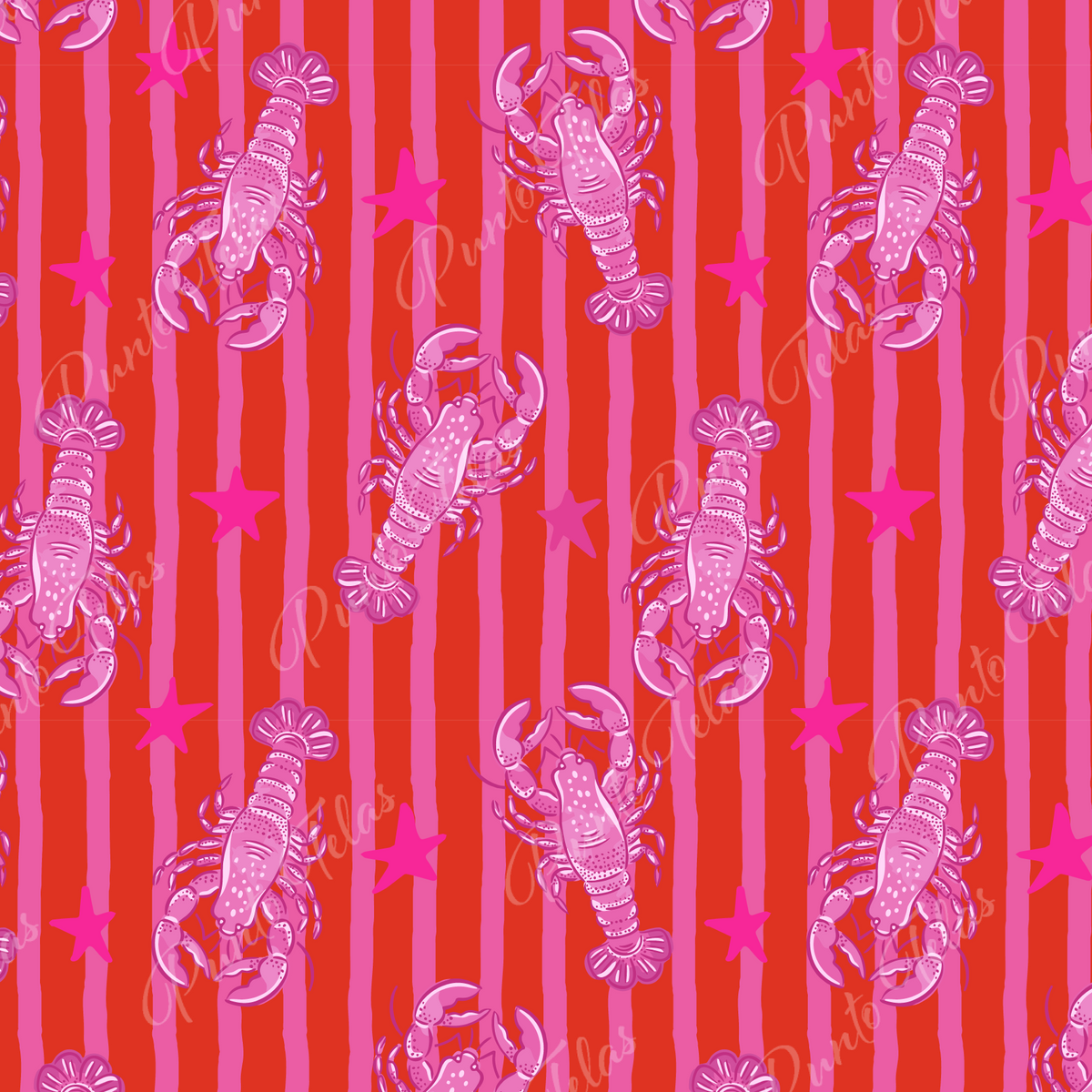 57x70 CMS DISEÑO E447