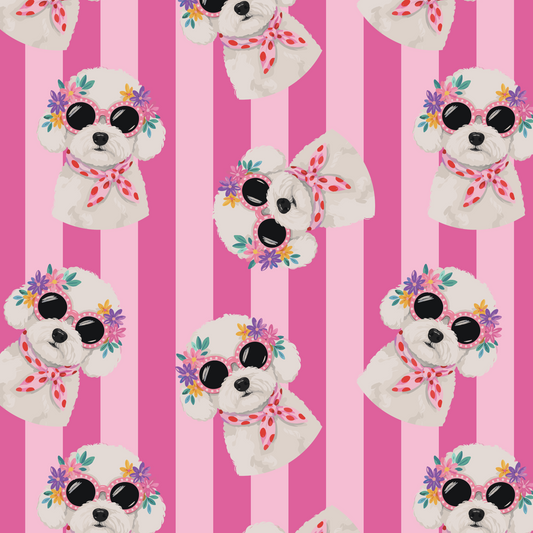 57x70 CMS DISEÑO E458