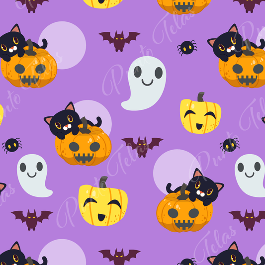 DISEÑO H5 57x73 cms