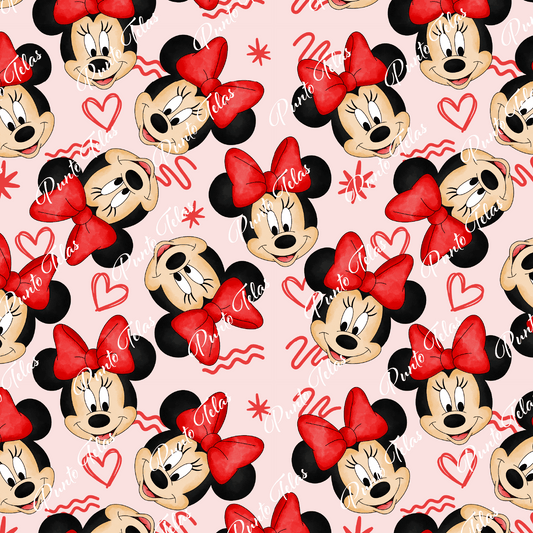50x60 cms MINNIE 8