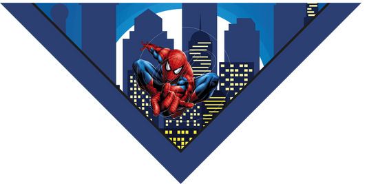 PAÑUELO INFANTIL SPIDERMAN 3