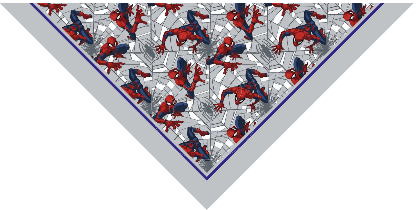 PAÑUELO INFANTIL SPIDERMAN 4