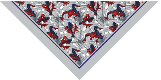 PAÑUELO INFANTIL SPIDERMAN 4
