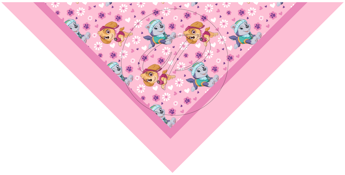 PAÑUELO INFANTIL PAW PATROL 2