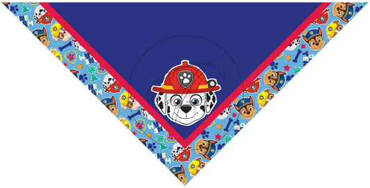 PAÑUELO INFANTIL PAW PATROL 5