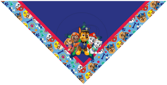 PAÑUELO INFANTIL PAW PATROL 6
