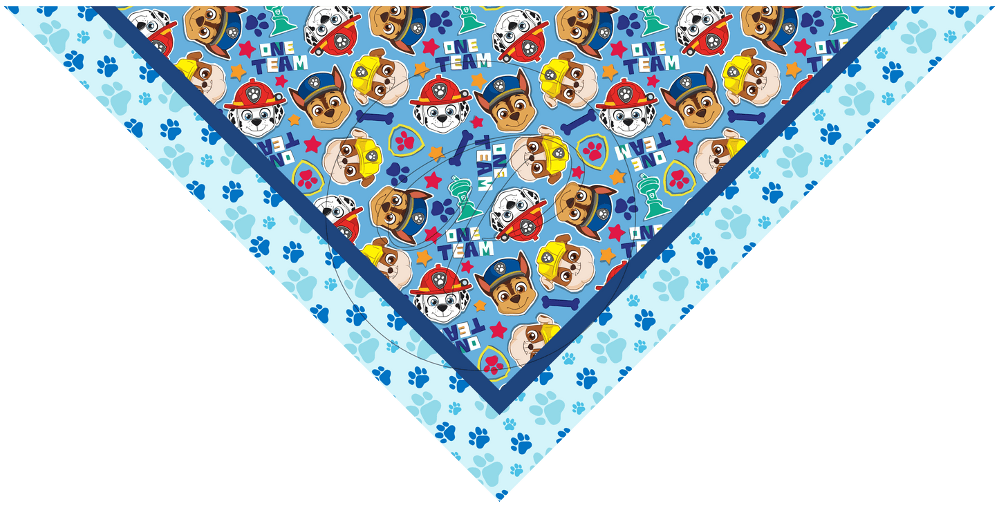 PAÑUELO INFANTIL PAW PATROL 7