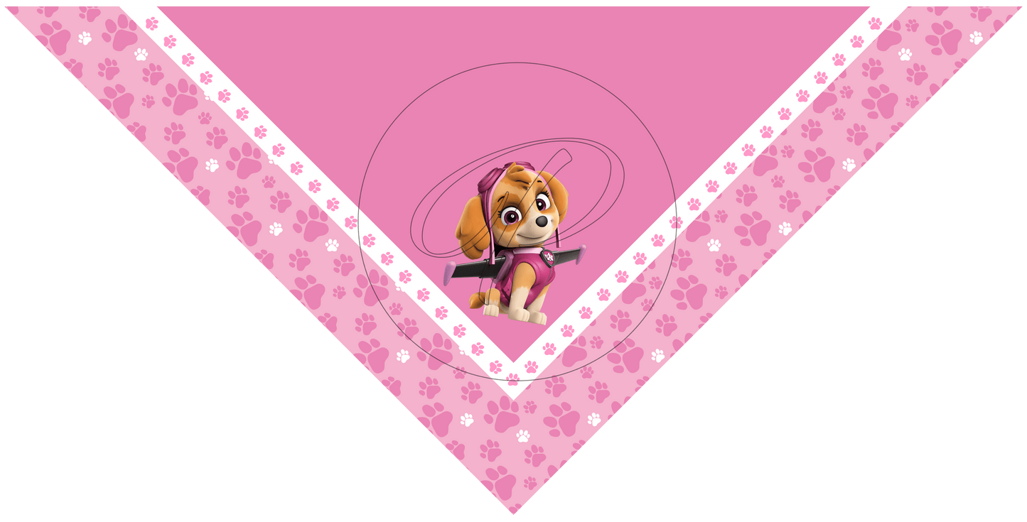 PAÑUELO INFANTIL PAW PATROL 8