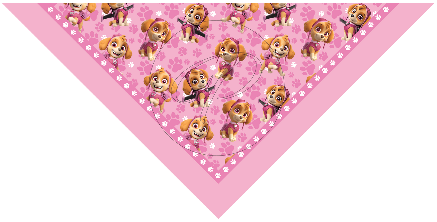 PAÑUELO INFANTIL PAW PATROL 9