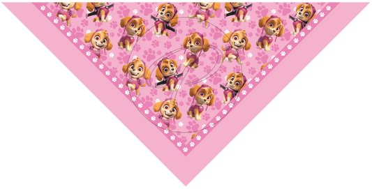 PAÑUELO INFANTIL PAW PATROL 9