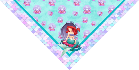 BANDANA INFANTIL PRINCESAS 12