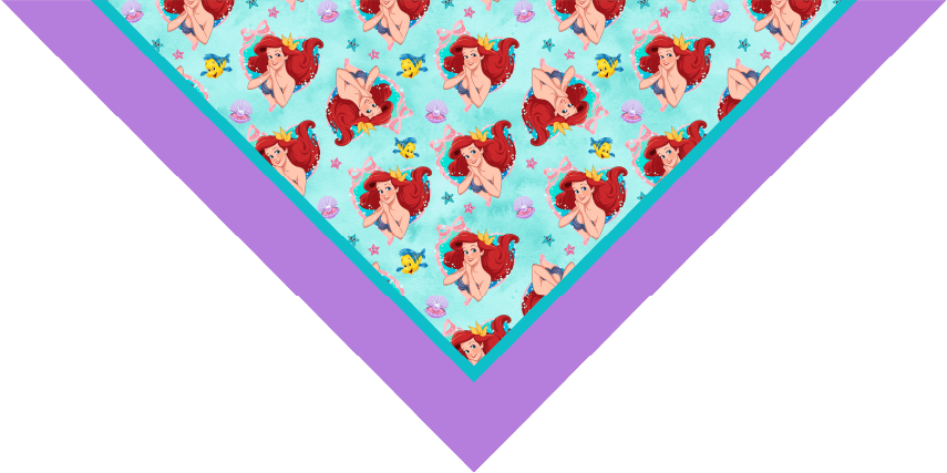 BANDANA INFANTIL PRINCESAS 13