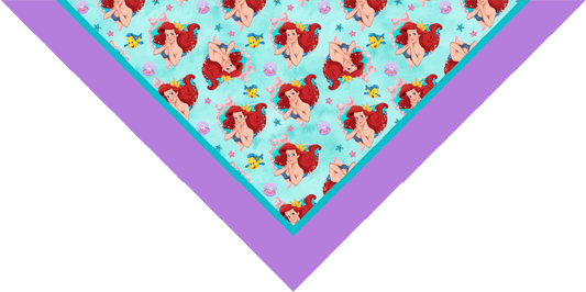 BANDANA INFANTIL PRINCESAS 13