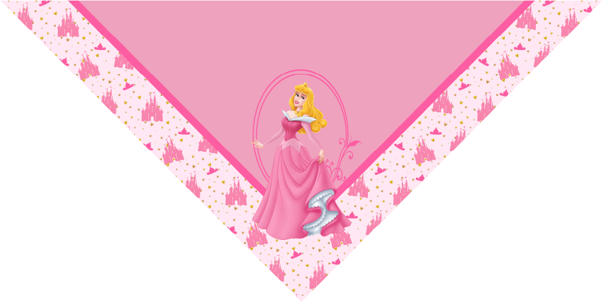 BANDANA INFANTIL PRINCESAS 5