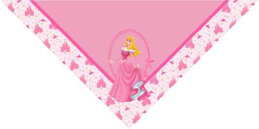 BANDANA INFANTIL PRINCESAS 5