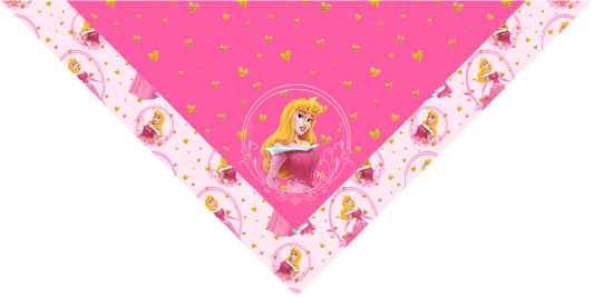 BANDANA INFANTIL PRINCESAS 6