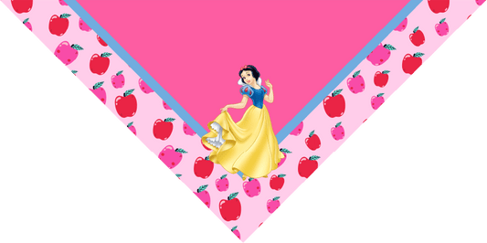 BANDANA INFANTIL PRINCESAS 8