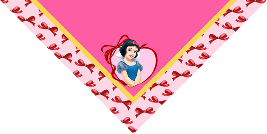 BANDANA INFANTIL PRINCESAS 9