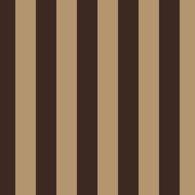 RAYAS 18  57x70 CMS lycra dupont