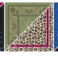 PACK B8  BANDANAS MUJER X 6